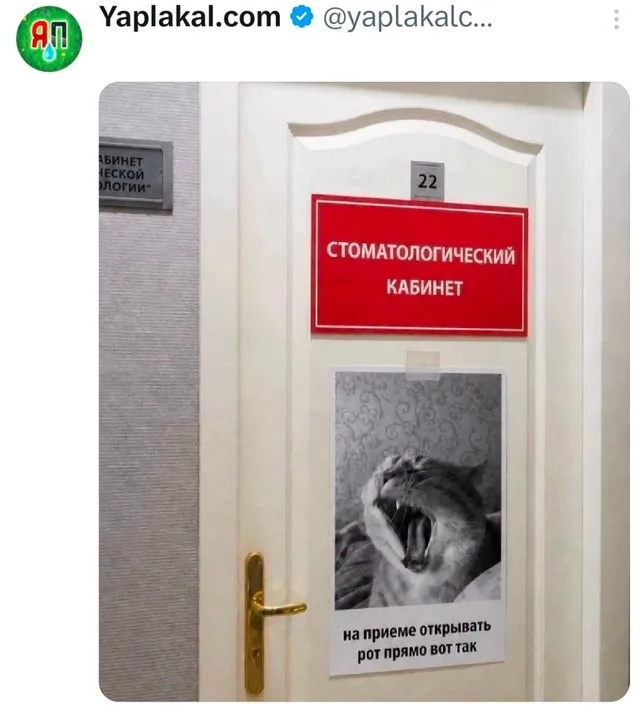 На приеме открывать рот прямо вот так