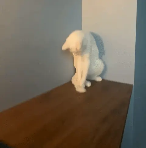 Белый кот падает за полку