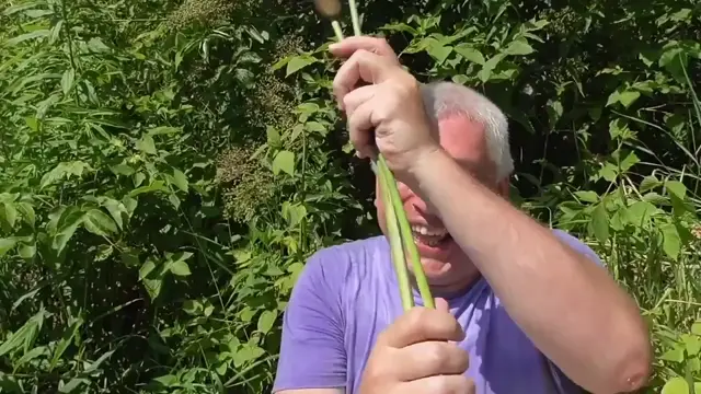 У меня камыш!