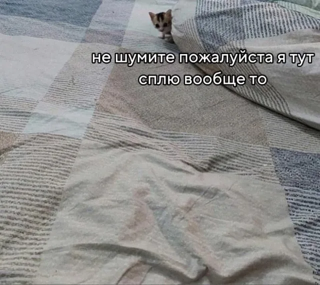 Не шумите, я тут сплю