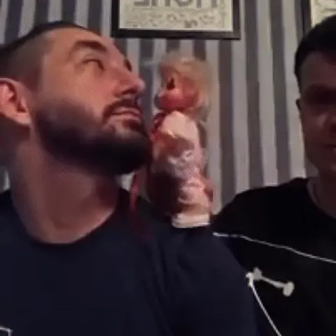 Кукла ритмично двигается вперед-назад, касаясь щеки мужчины, который никак не реагирует на это действие. — бородатый мужчина с короткой стри