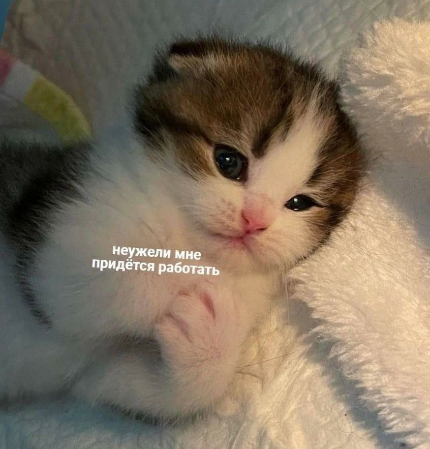 Неужели мне придется работать
