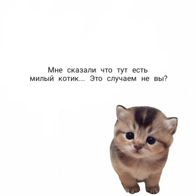 Это случаем не вы?