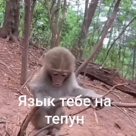 Язык тебе на тепун