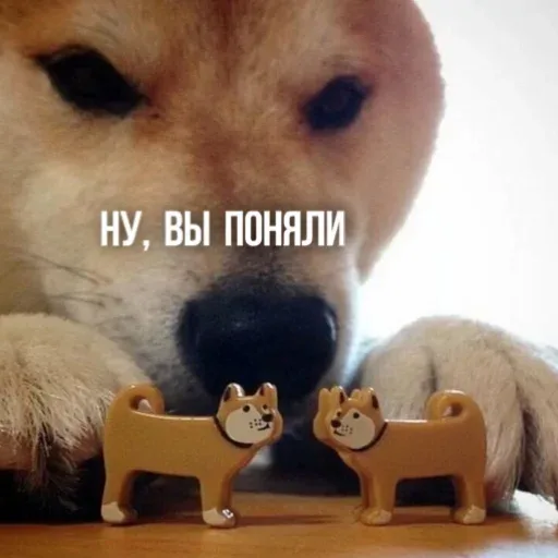 Собака неподвижно «наблюдает» за двумя фигурками, создавая иллюзию, что она их расставила или контролирует их «свидание». — собака породы си
