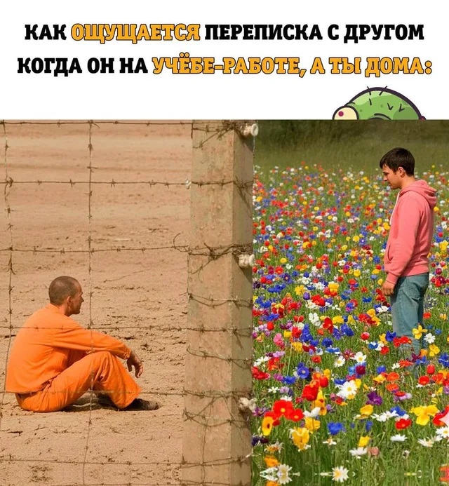 Коллаж из двух частей: слева заключённый сидит за колючей проволокой, справа парень стоит в цветущем поле — Мужчина в оранжевой тюремной роб