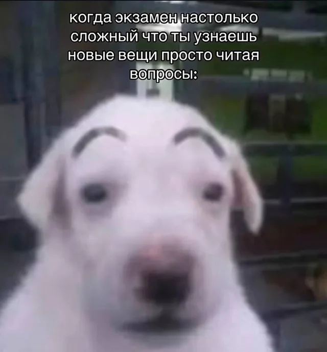 Когда узнаешь новое прямо на экзамене