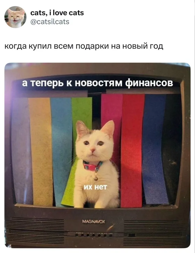 Белый котёнок сидит внутри старого телевизора на фоне цветных полос, имитирующих настроечную таблицу. Сверху и снизу добавлены надписи, стил