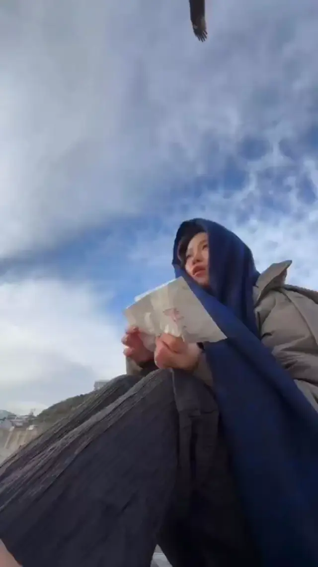 Орел украл еду у девушки