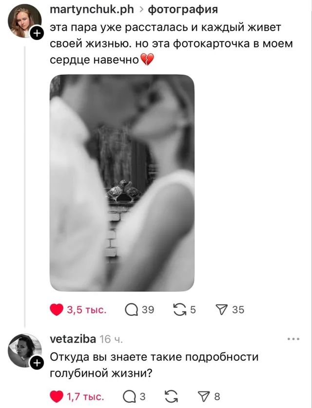Подробности голубиной жизни