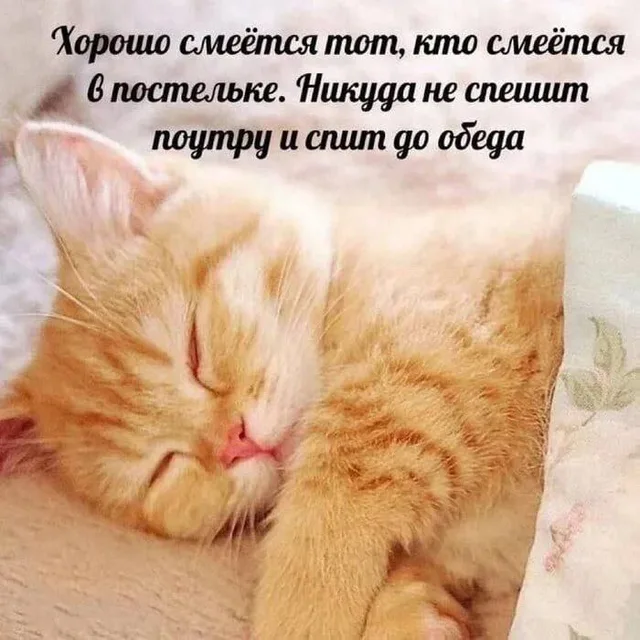 Хорошо смеётся тот, кто спит до обеда