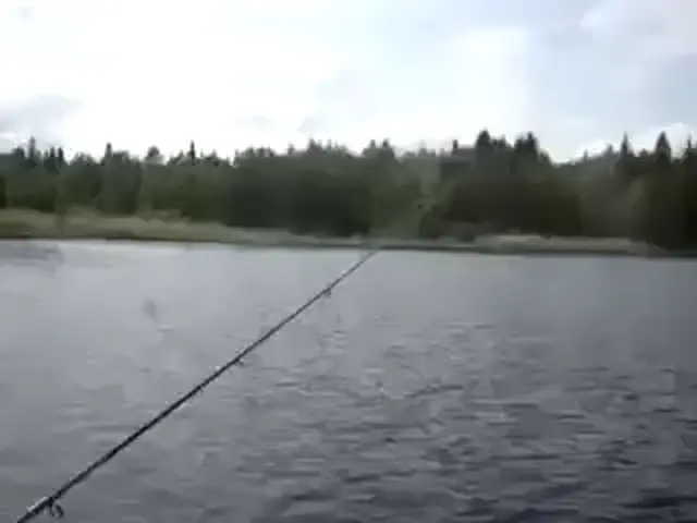 Язь рыба моей мечты