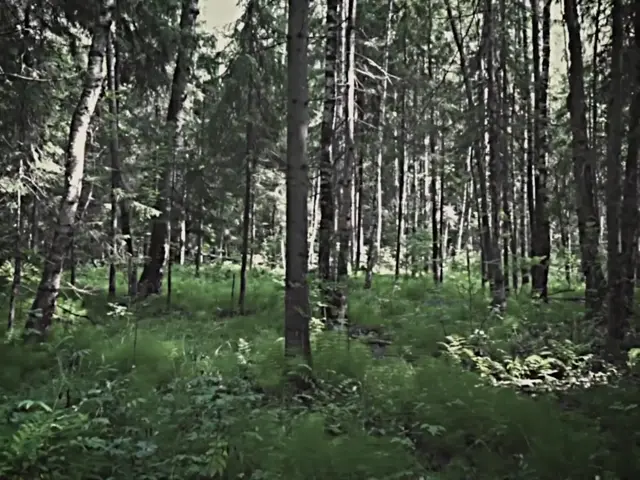 Это программа сдохни или умри