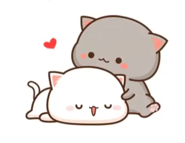 Серый котик лижет белого котика
