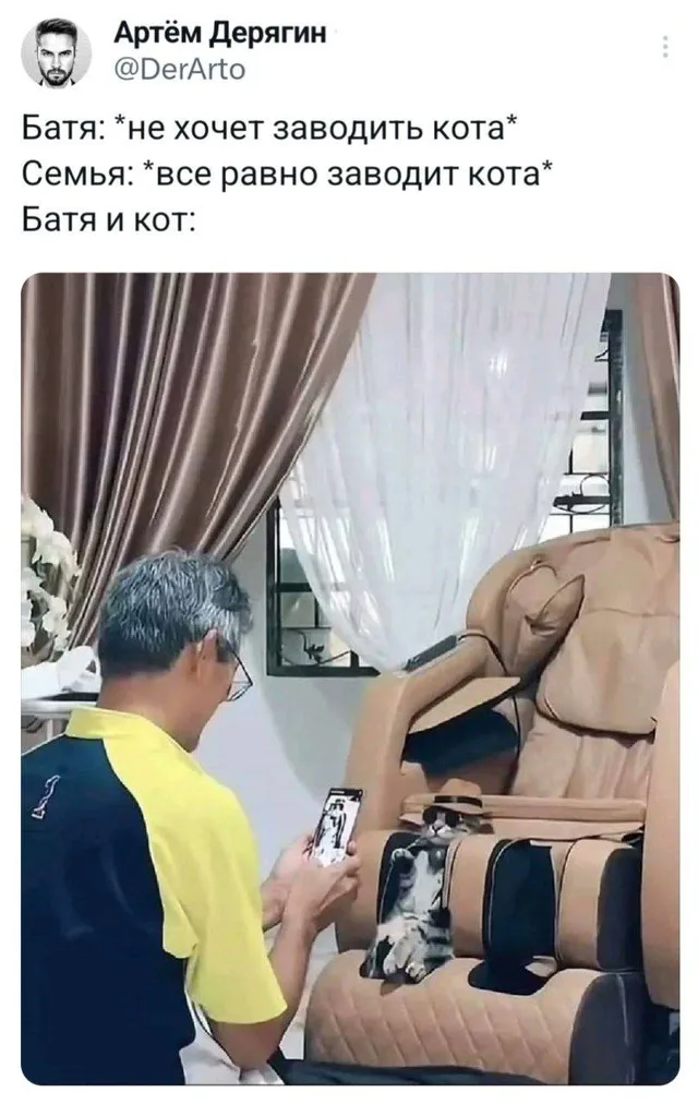 Мужчина фотографирует кота, который сидит в массажном кресле в аксессуарах. — мужчина в желто-синей футболке, кот в шляпе и очках