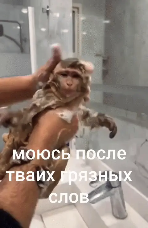 Моюсь после твоих грязных слов