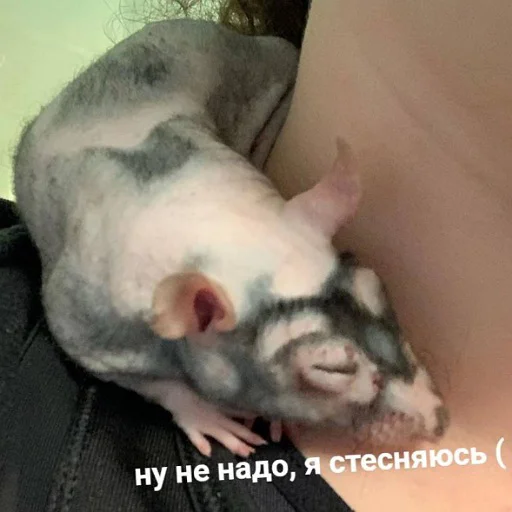 Ну не надо, я стесняюсь