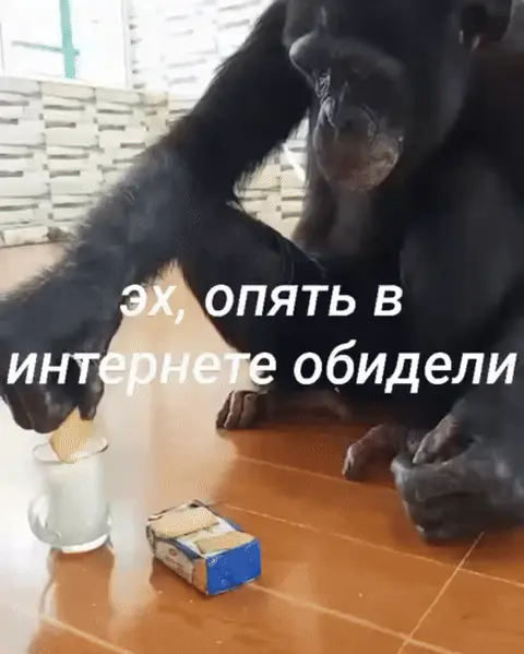 Эх, опять в интернете обидели
