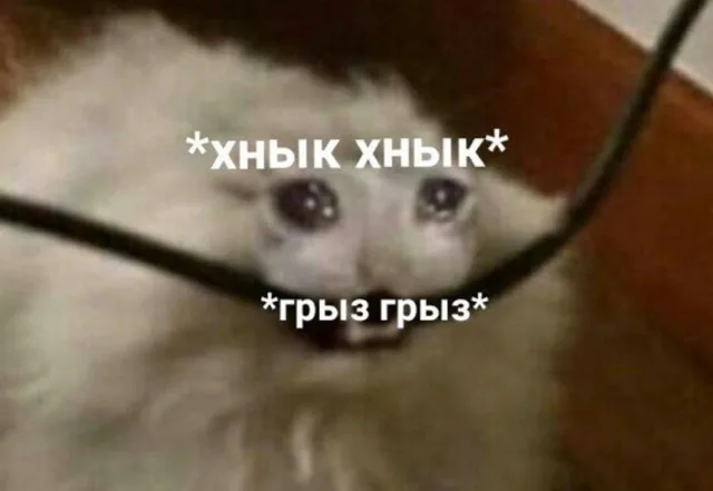 *хнык хнык* *грызь грызь*