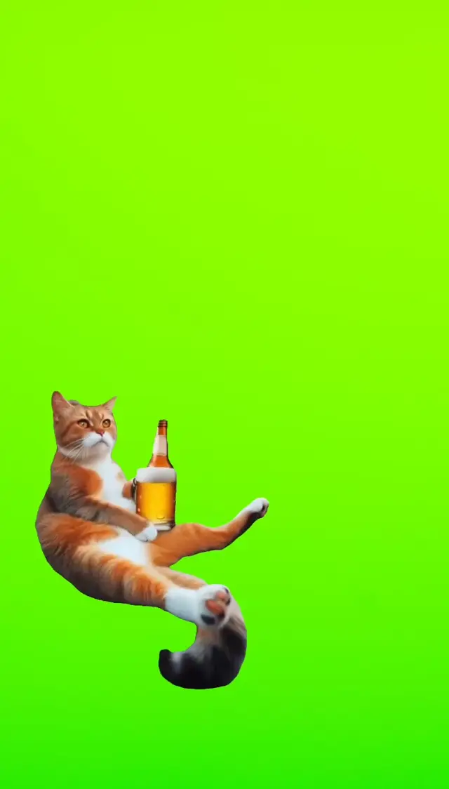 Кот пьет пиво и смеется