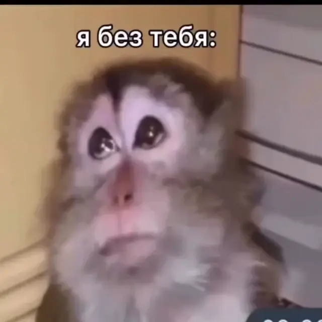 Я без тебя и я с тобой