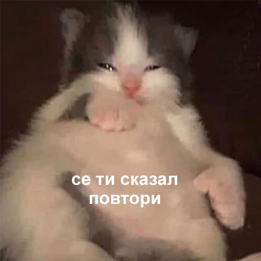 Се ти сказал повтори