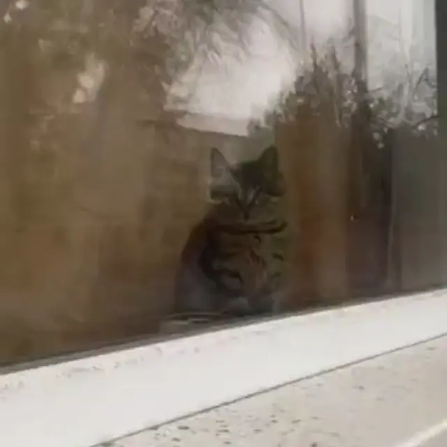 Я убью твою семью