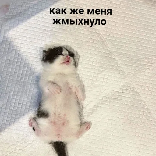 Состояние полного «отключки»